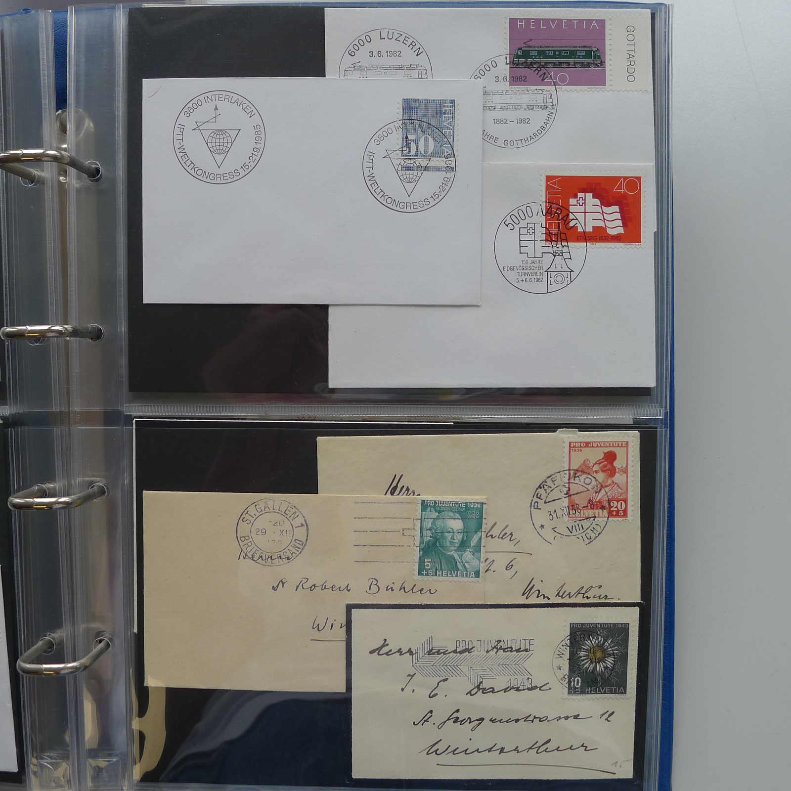 Image 10 for lot number 0004402862 for Luzernerraute Webshop 