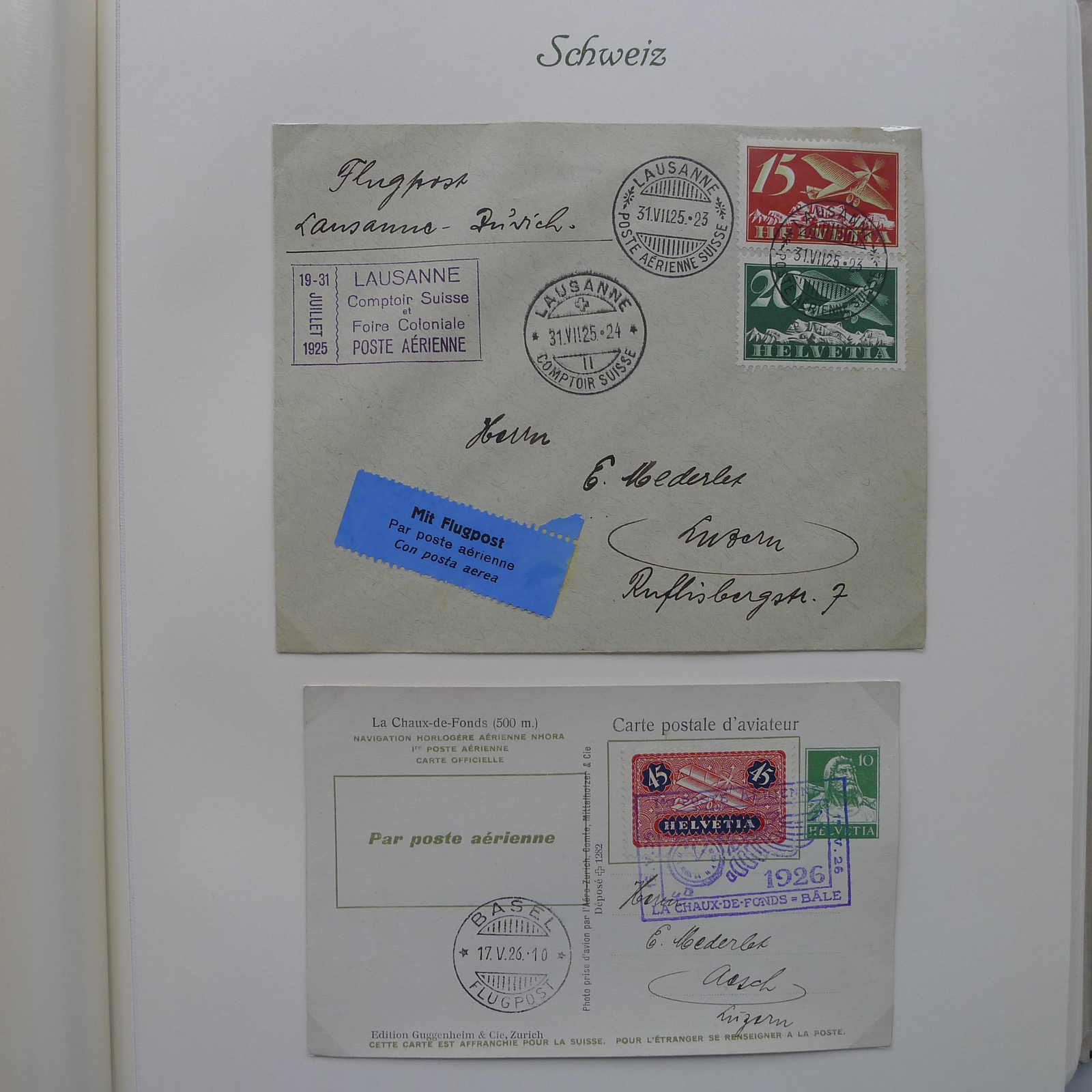 Image 2 for lot number 0004402863 for Luzernerraute Webshop 