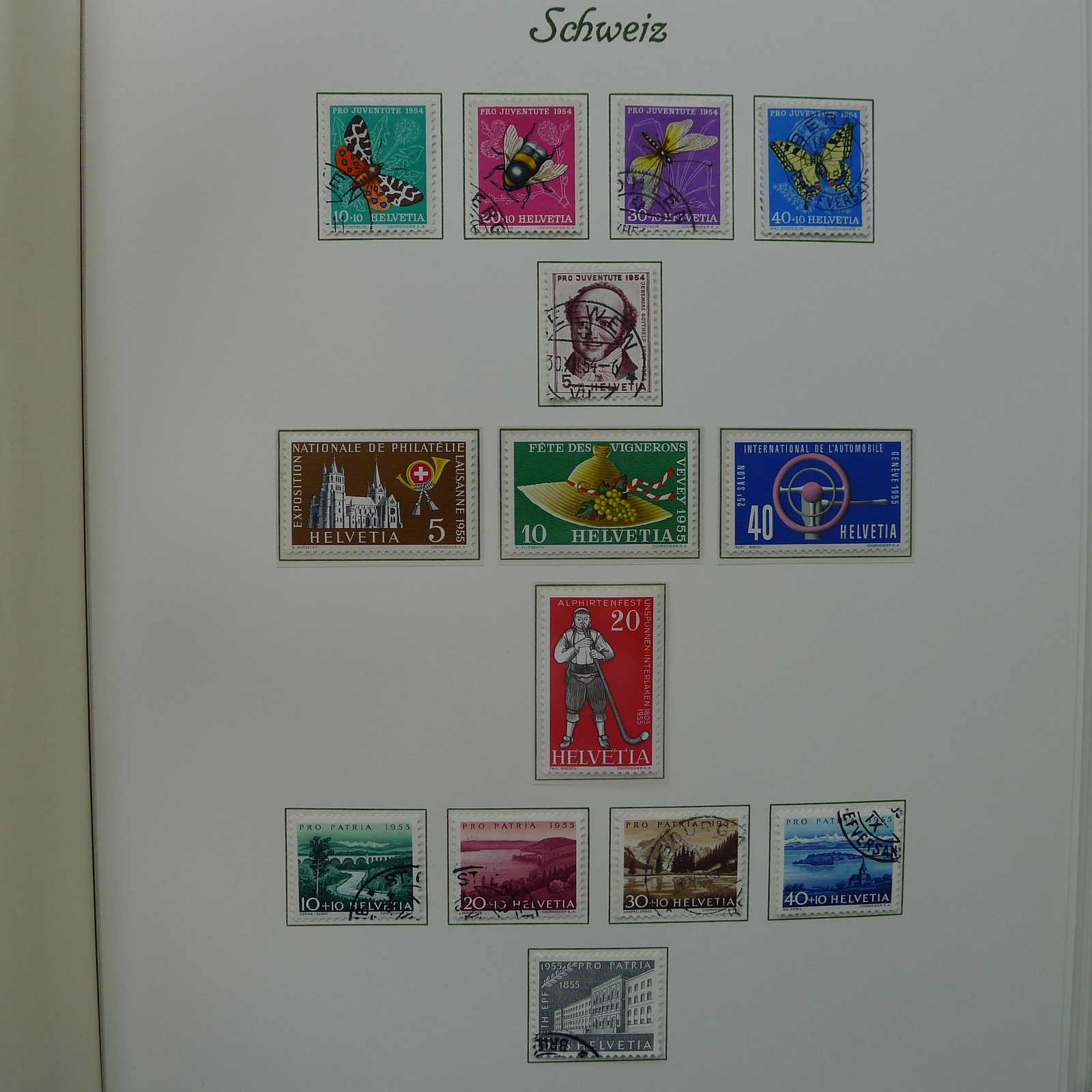 Image 22 for lot number 0004402863 for Luzernerraute Webshop 
