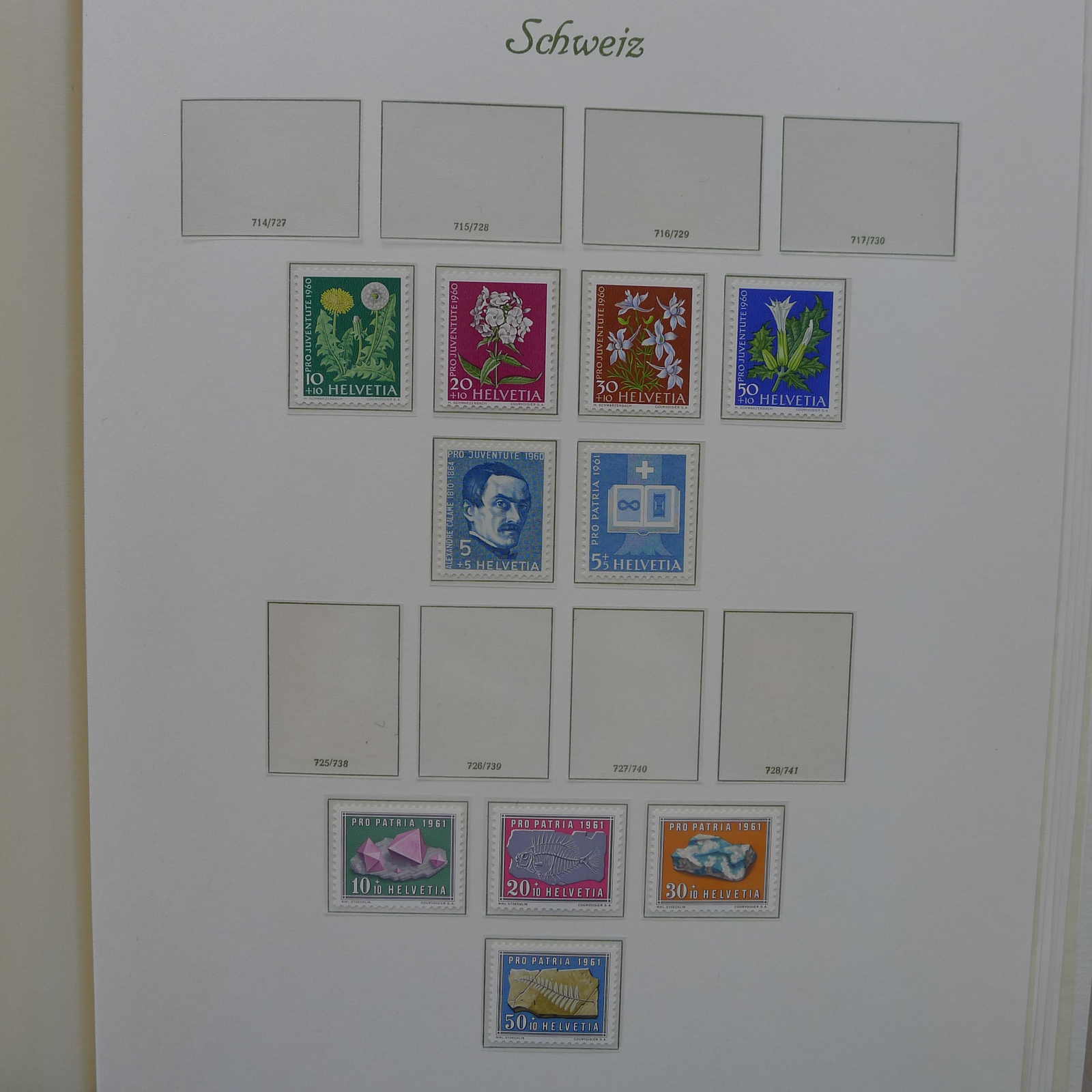 Image 39 for lot number 0004402863 for Luzernerraute Webshop 