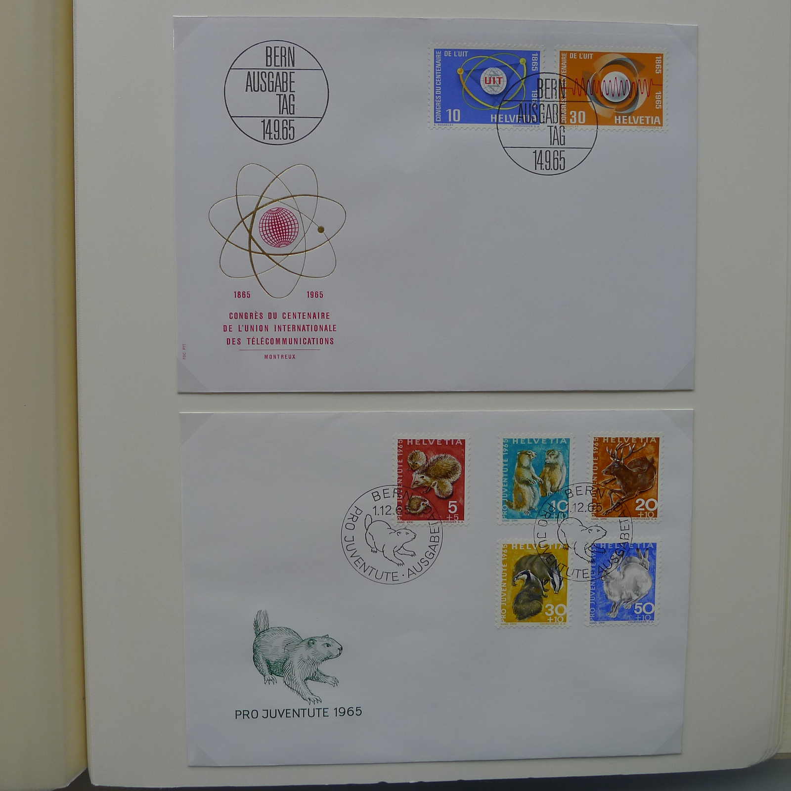 Image 60 for lot number 0004402863 for Luzernerraute Webshop 