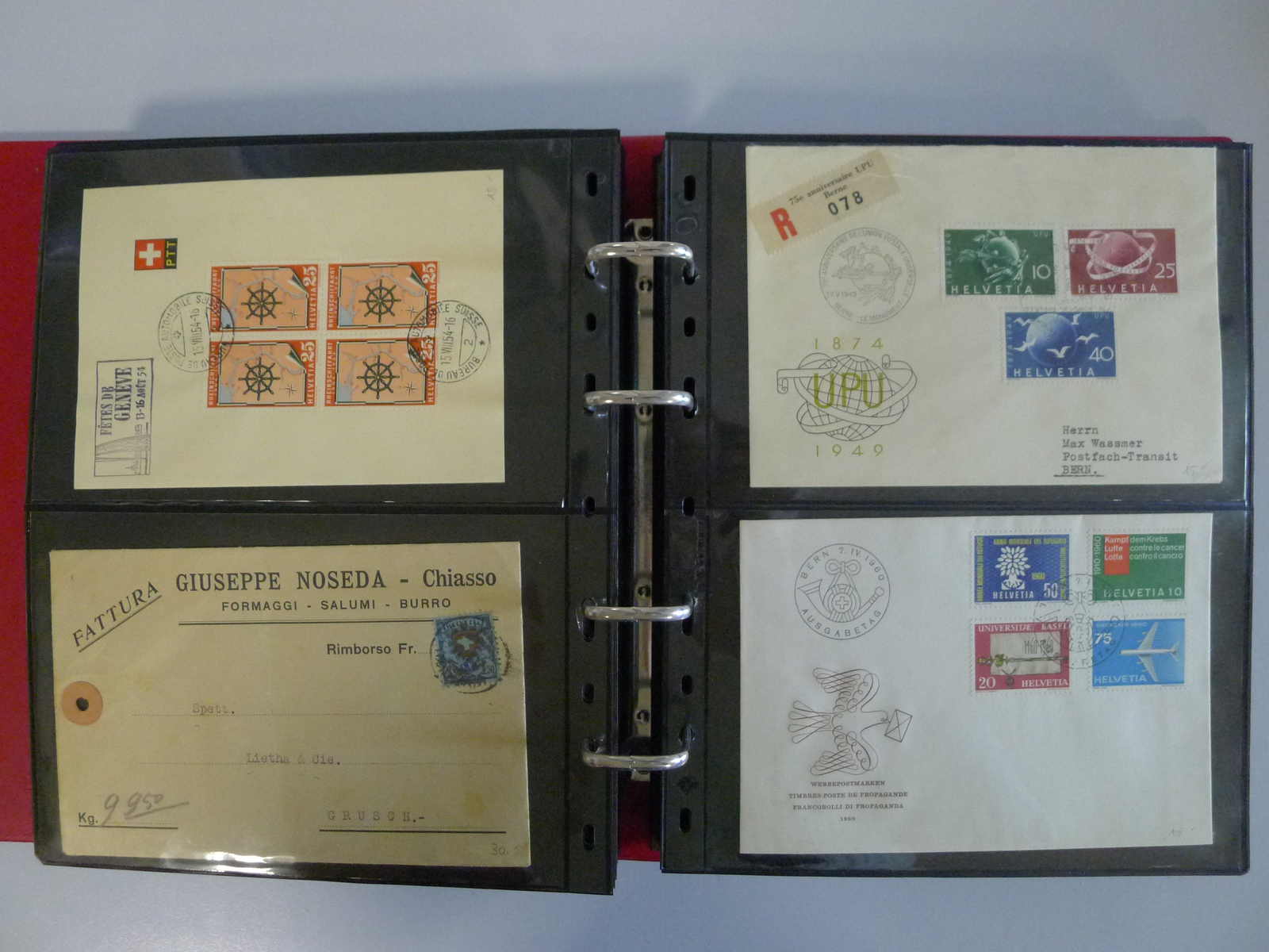 Image 26 for lot number 0004402992 for Luzernerraute Webshop 