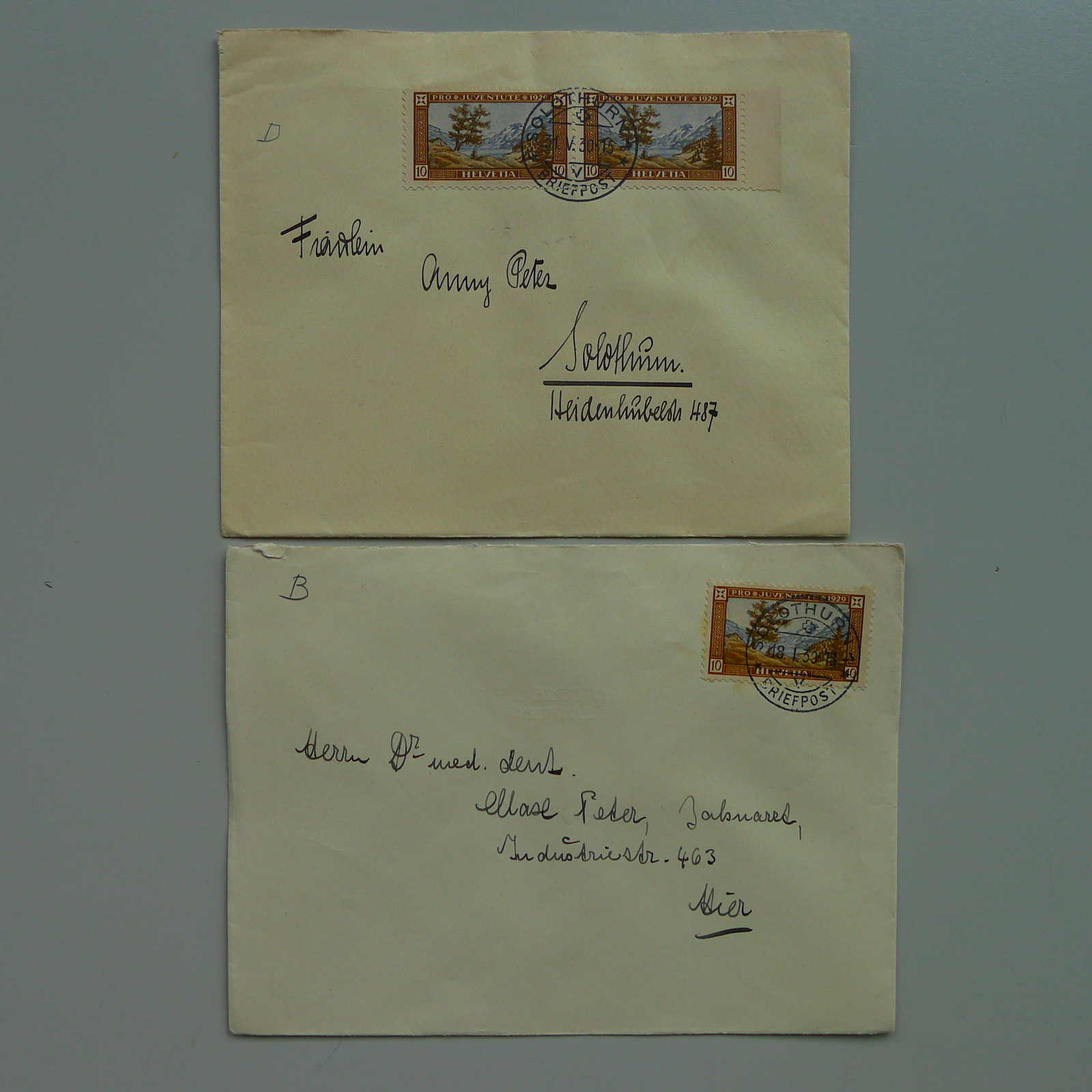 Image 6 for lot number 0004403048 for Luzernerraute Webshop 
