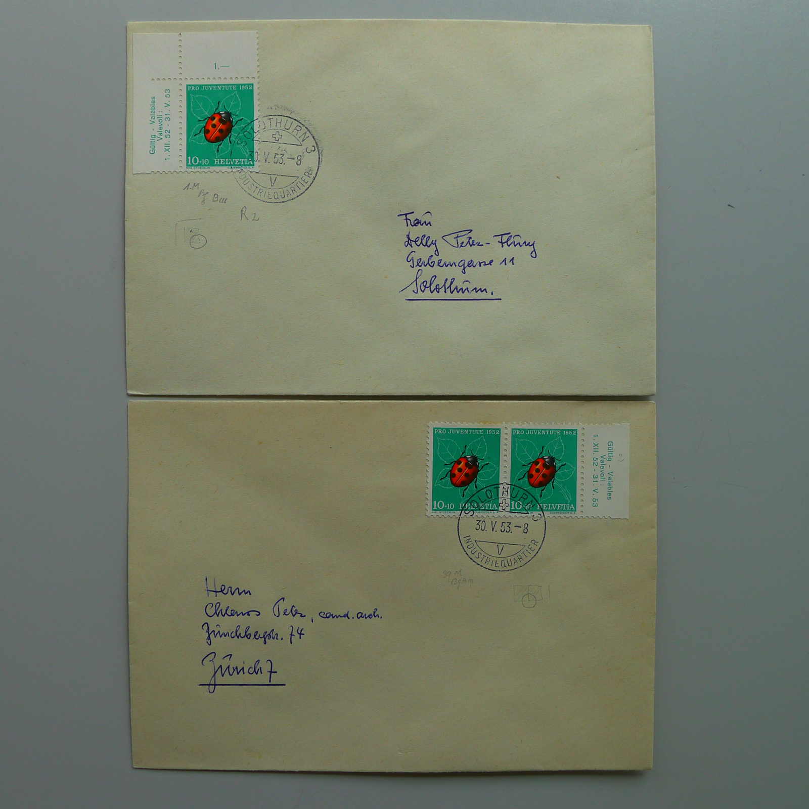 Image 34 for lot number 0004403048 for Luzernerraute Webshop 