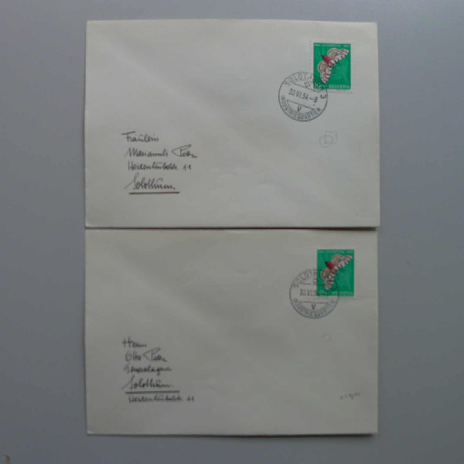 Image 35 for lot number 0004403048 for Luzernerraute Webshop 
