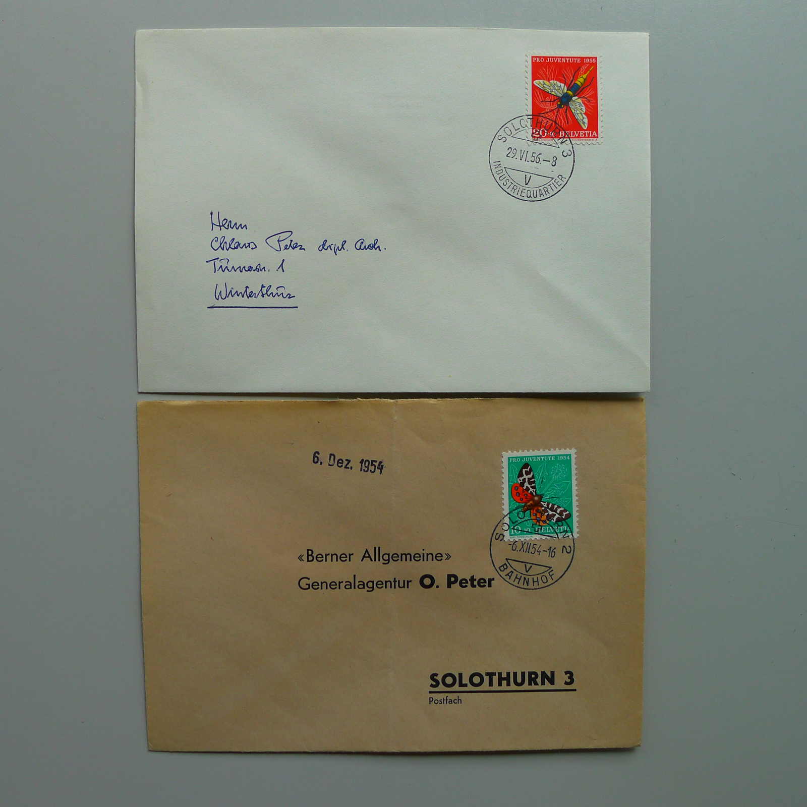 Image 36 for lot number 0004403048 for Luzernerraute Webshop 