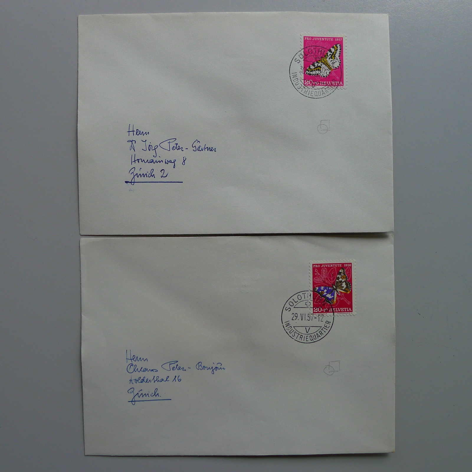 Image 37 for lot number 0004403048 for Luzernerraute Webshop 