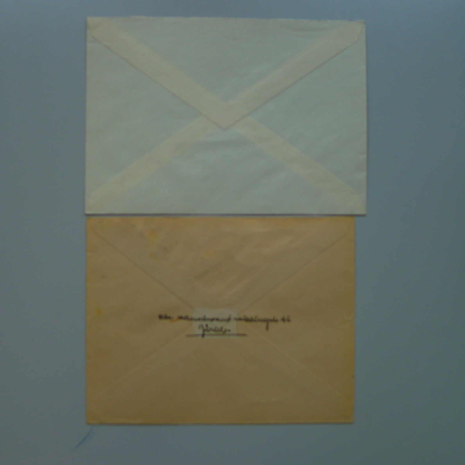 Image 16 for lot number 0004403050 for Luzernerraute Webshop 