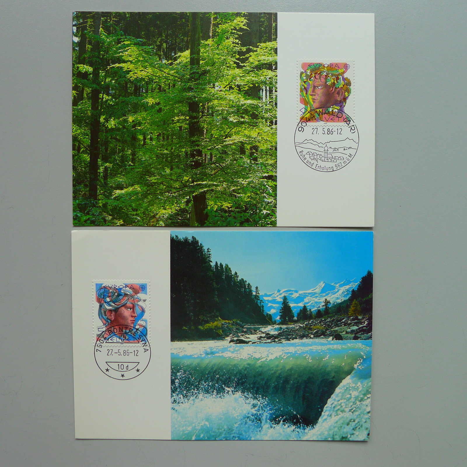 Image 36 for lot number 0004403053 for Luzernerraute Webshop 
