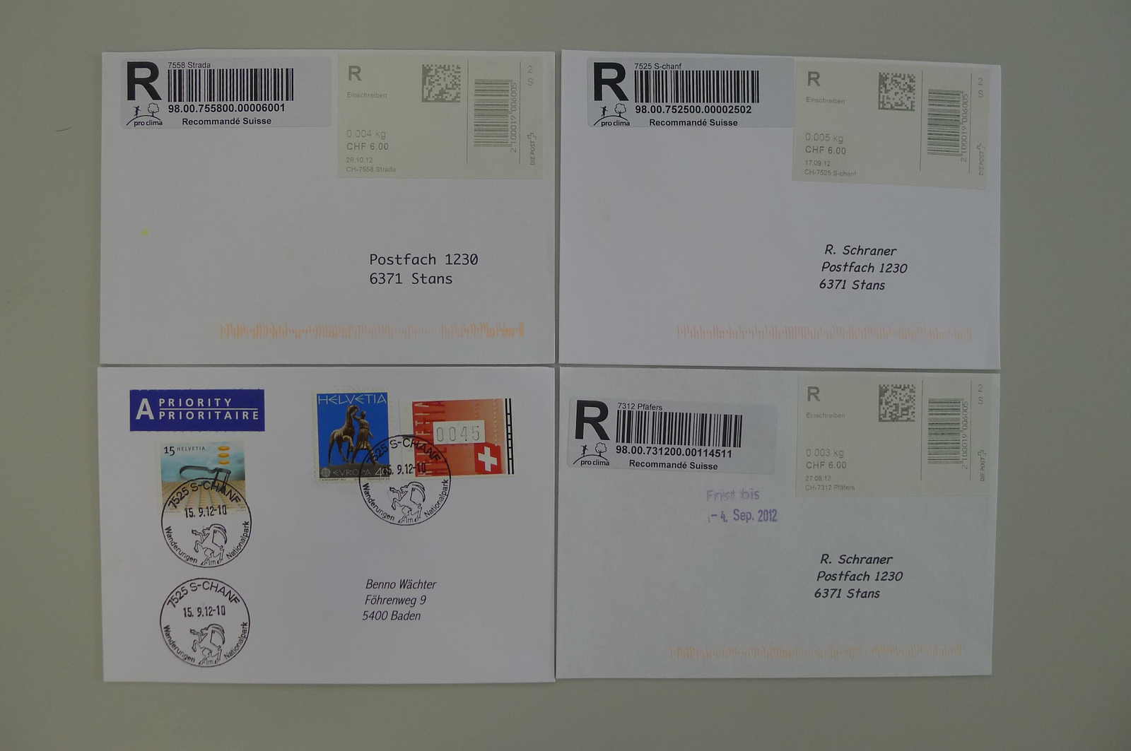 Image 38 for lot number 0004403055 for Luzernerraute Webshop 