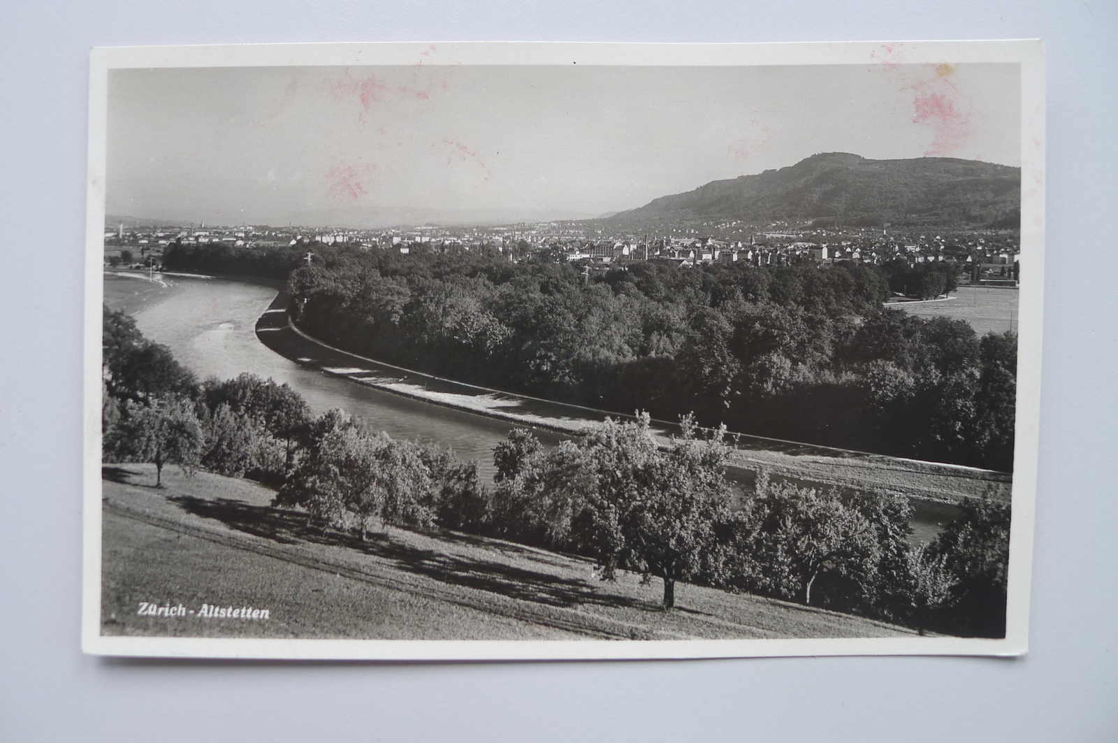 Image 7 for lot number 0004403057 for Luzernerraute Webshop 