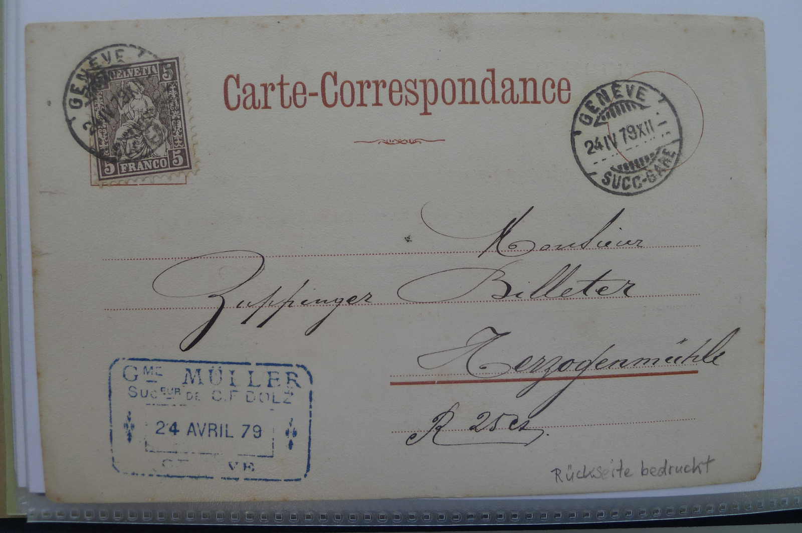 Image 145 for lot number 0004403072 for Luzernerraute Webshop 