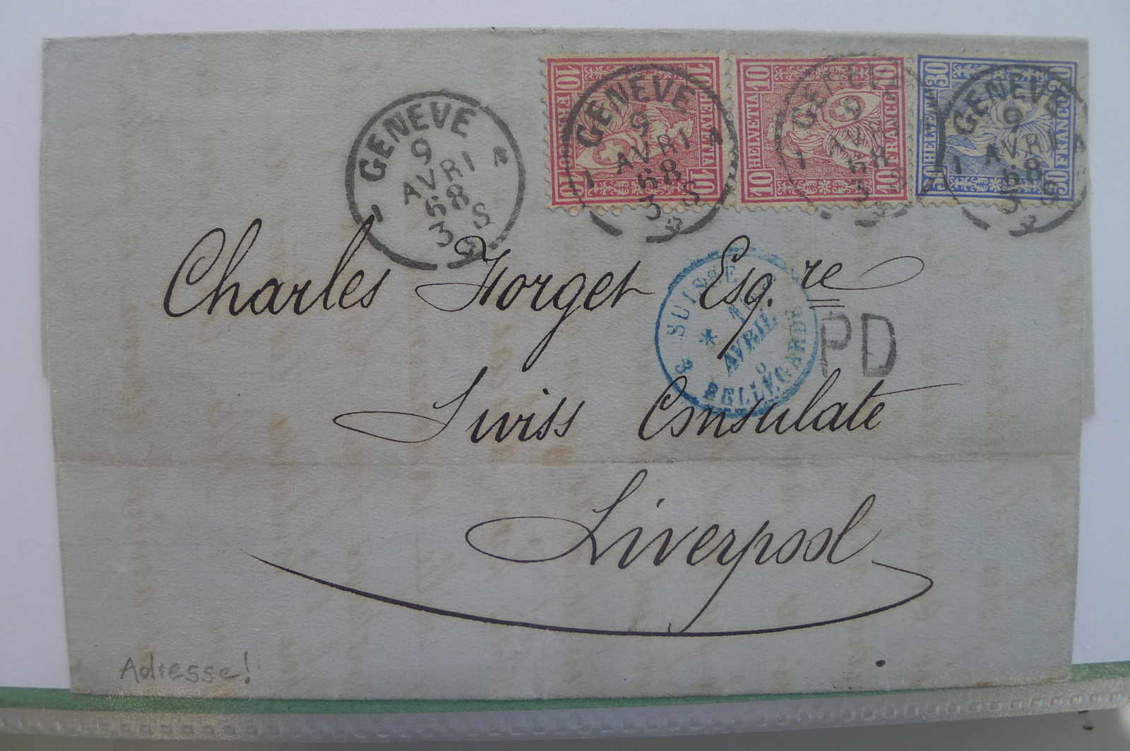 Image 255 for lot number 0004403072 for Luzernerraute Webshop 