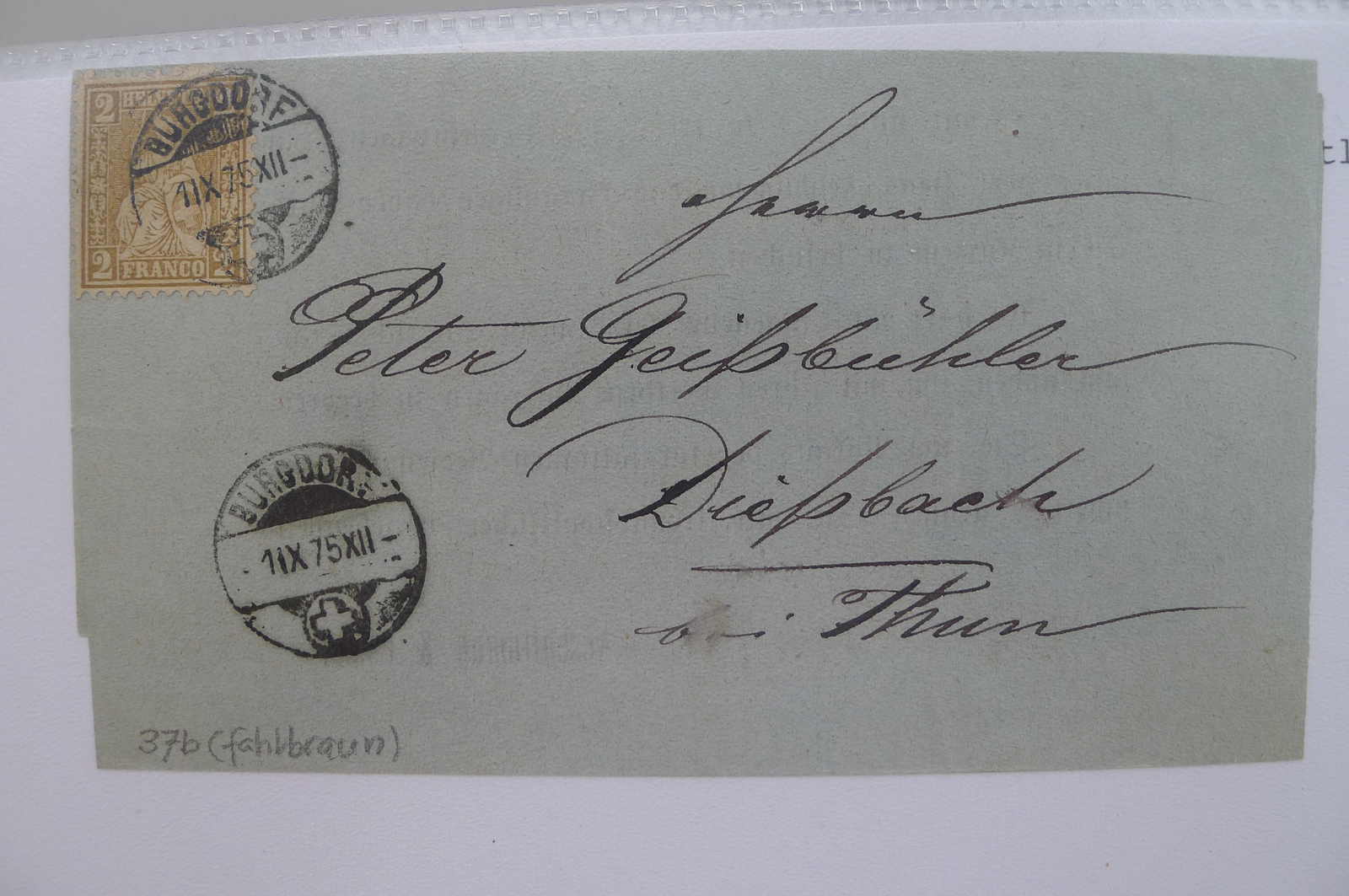 Image 316 for lot number 0004403072 for Luzernerraute Webshop 