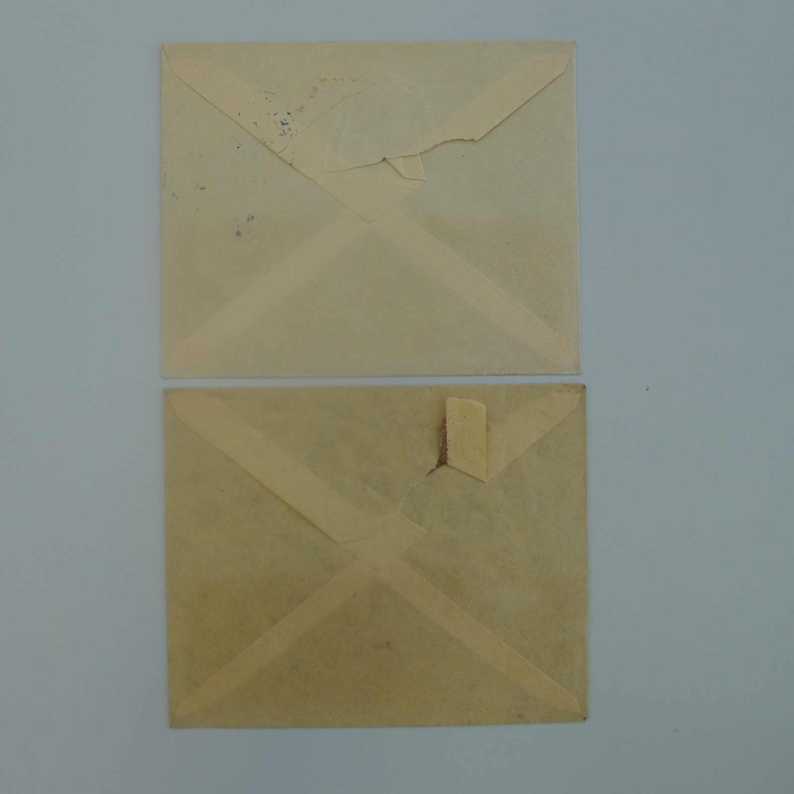 Image 12 for lot number 0004403077 for Luzernerraute Webshop 