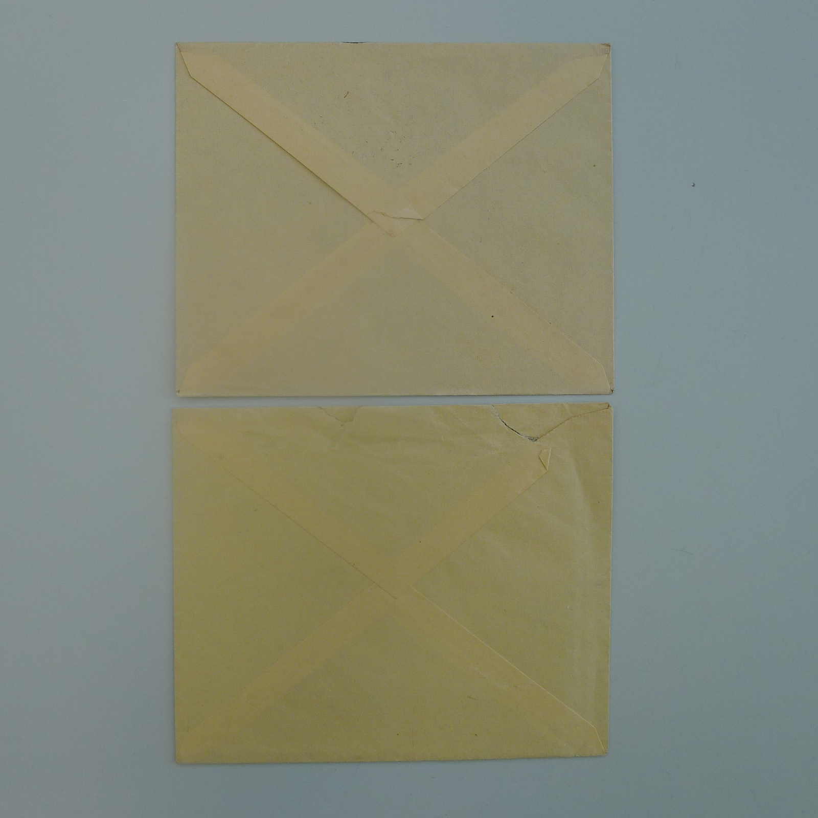 Image 24 for lot number 0004403077 for Luzernerraute Webshop 