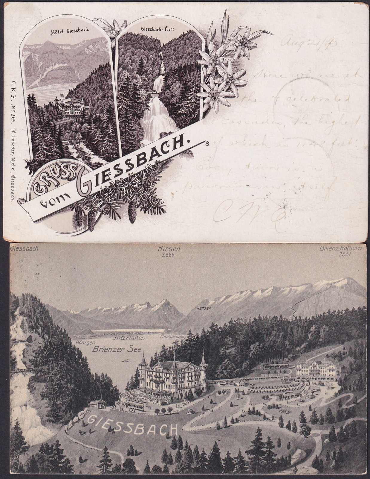 Image 1 for lot number 0005400003 for Luzernerraute Webshop 