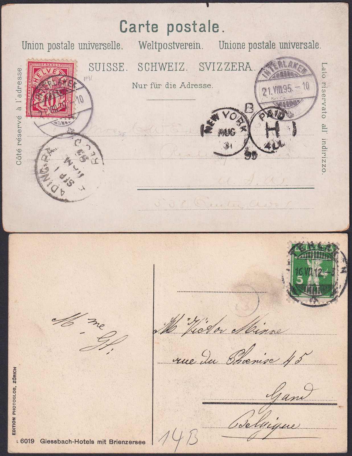 Image 2 for lot number 0005400003 for Luzernerraute Webshop 