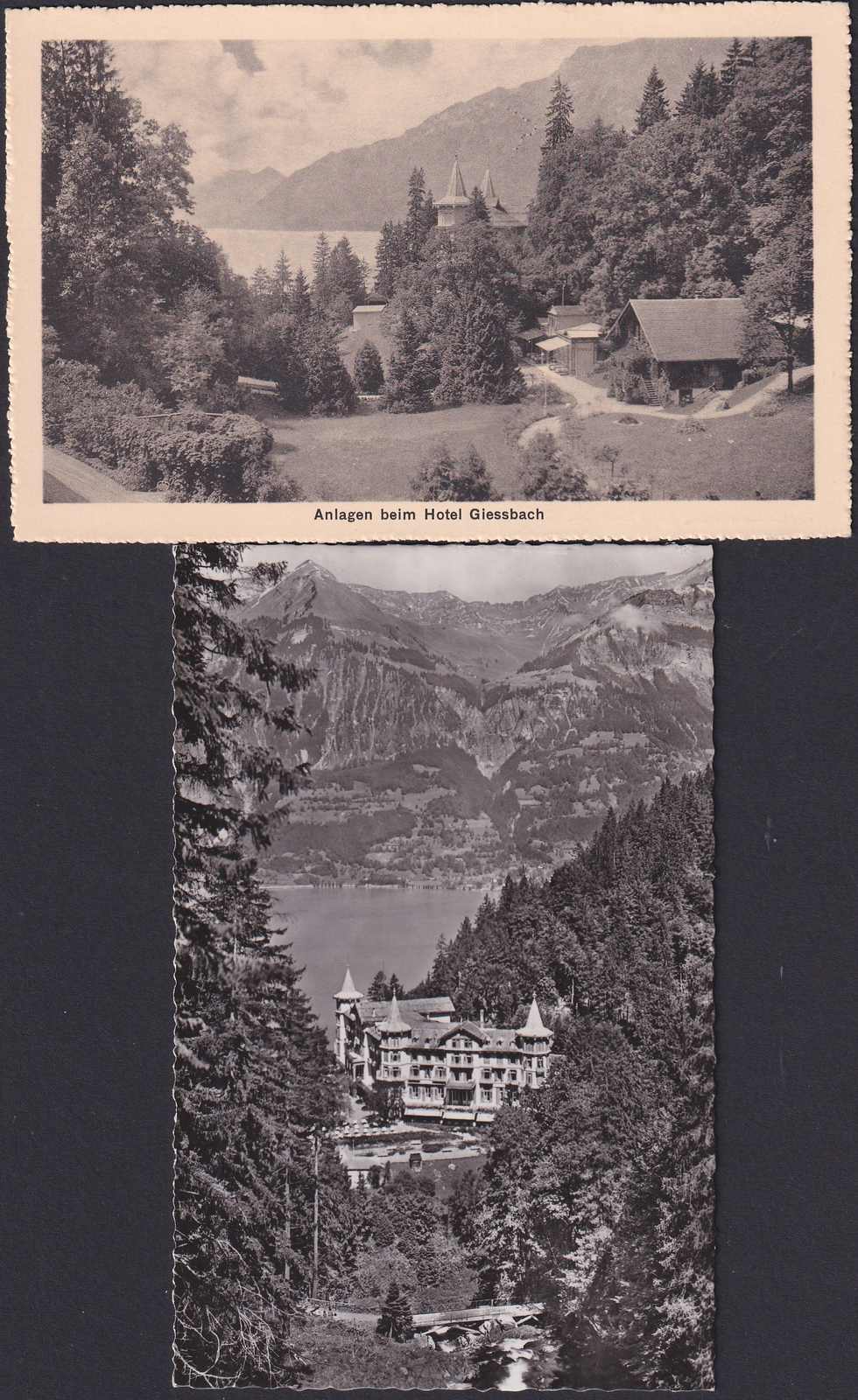 Image 3 for lot number 0005400003 for Luzernerraute Webshop 