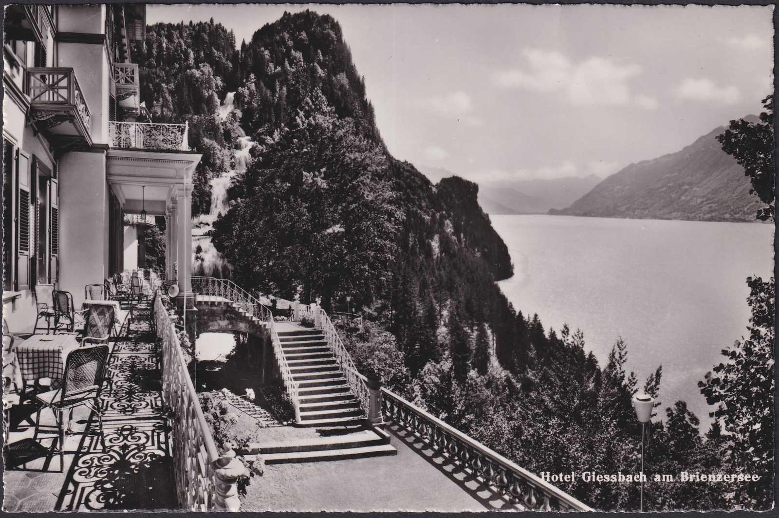Image 5 for lot number 0005400003 for Luzernerraute Webshop 