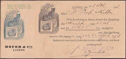 LUZERN 1906-1905, HOFER &amp;Cie, 9 Karten mit unterschiedlichen ...