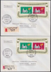 1955, W35 auf 2 Briefen: NATIONS UNIES +"L'autome pour la Paix", in ...