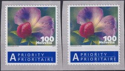 Picture 2 for Lot from Luzernerraute GmbH