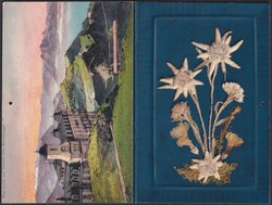 Rigi Kaltbad & Rigi Kulm, Nr.104 auf Karte nach Dänemark. MUSTER ...