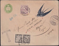 1893, 25c-Tübeli-Brief mit ZEICHNUNG: Brieftaube nach ALGERIEN ...