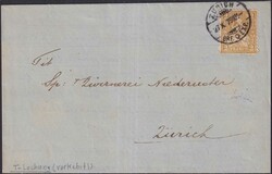 ZÜRICH 1879, Firmen-Lochung "Thomann" auf Nr.37 (verkehrte ...