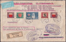 Picture 2 for Lot from Luzernerraute GmbH