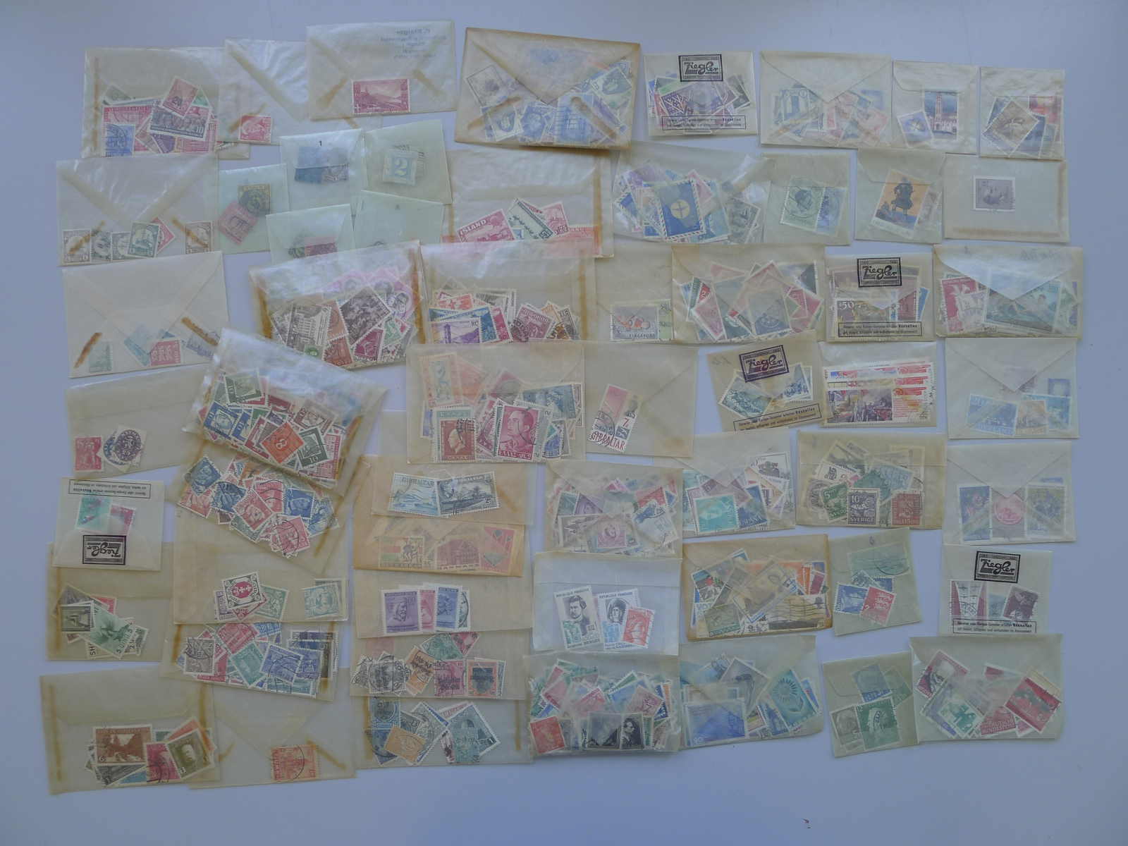 Image 27 for lot number 4251 for 10th Schwarzentruber Auction