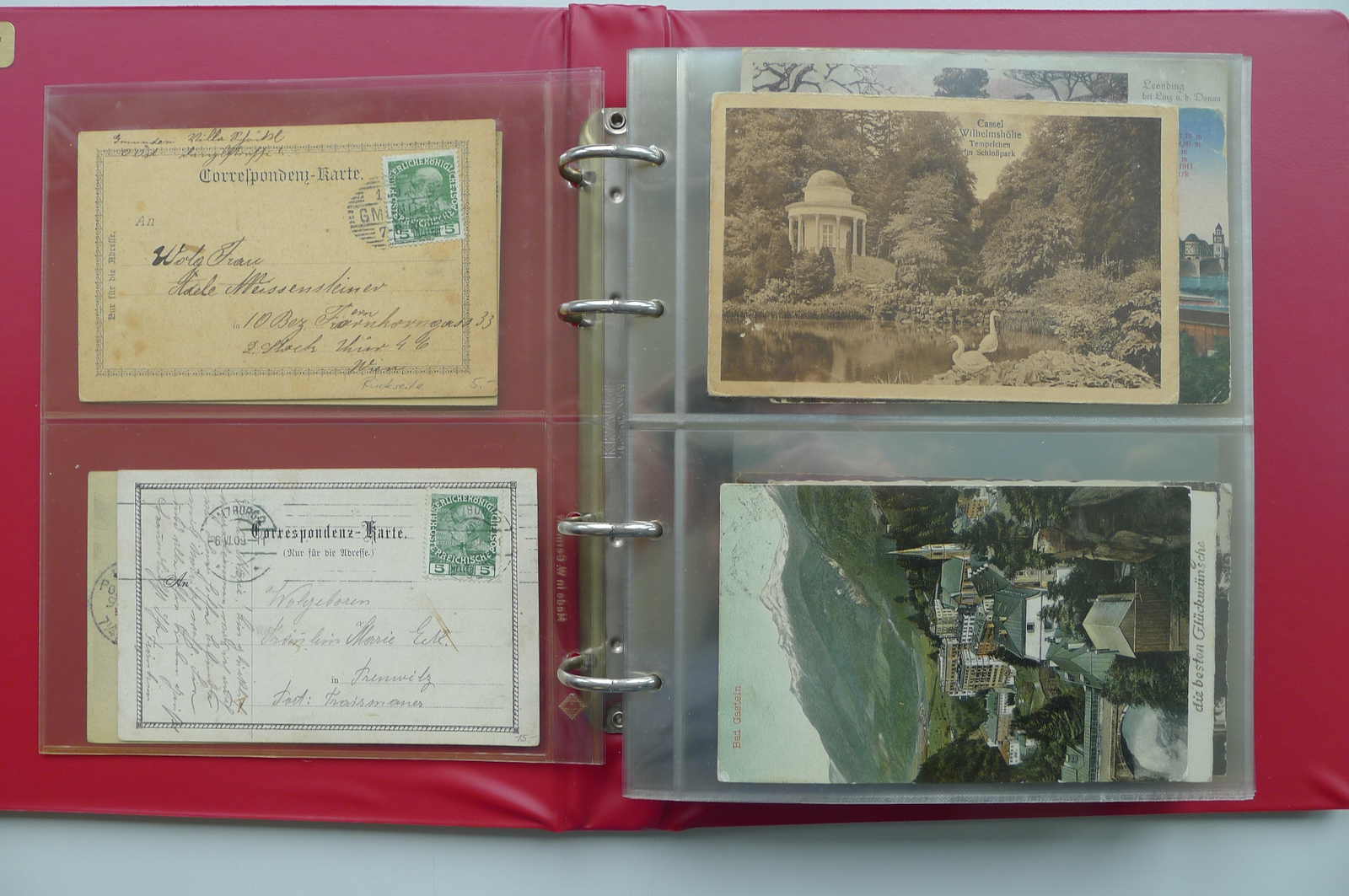 Image 4 for lot number 4202 for 10th Schwarzentruber Auction