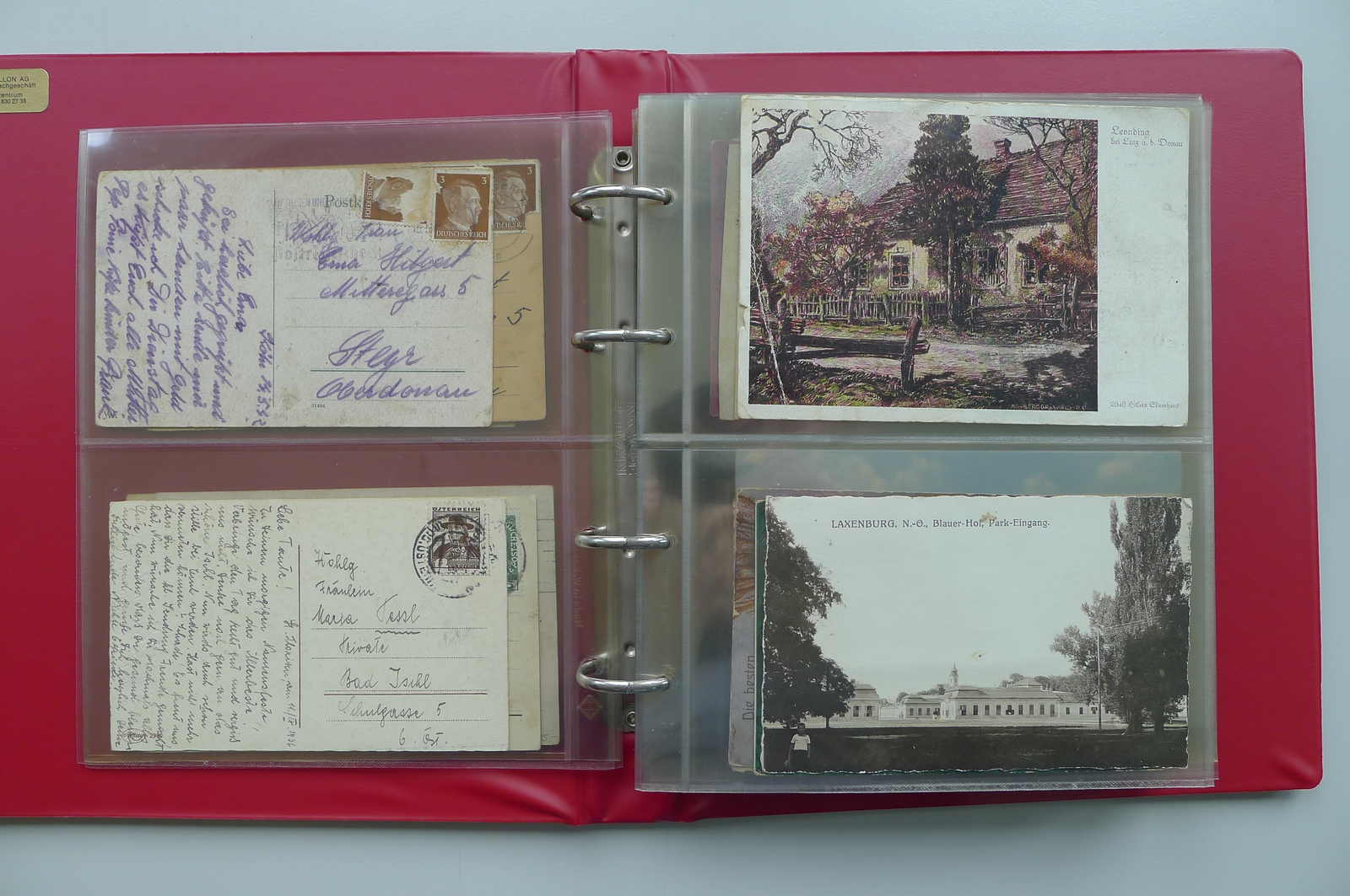 Image 6 for lot number 4202 for 10th Schwarzentruber Auction