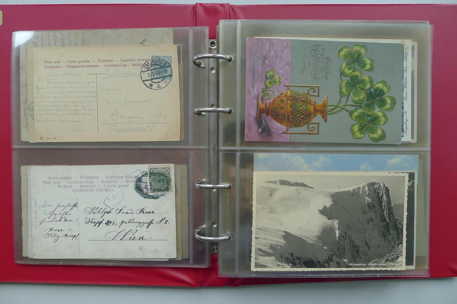 Image 9 for lot number 4202 for 10th Schwarzentruber Auction