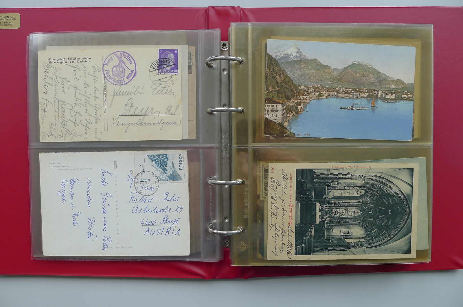 Image 12 for lot number 4202 for 10th Schwarzentruber Auction