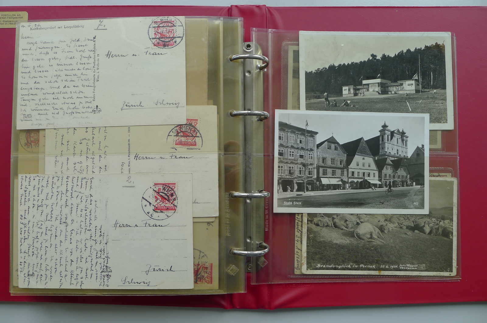 Image 49 for lot number 4202 for 10th Schwarzentruber Auction