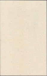 1945, W21 (Spendenblock, Bogen-Nr.6) mit Sonderstempel ZÜRICH (3 ...