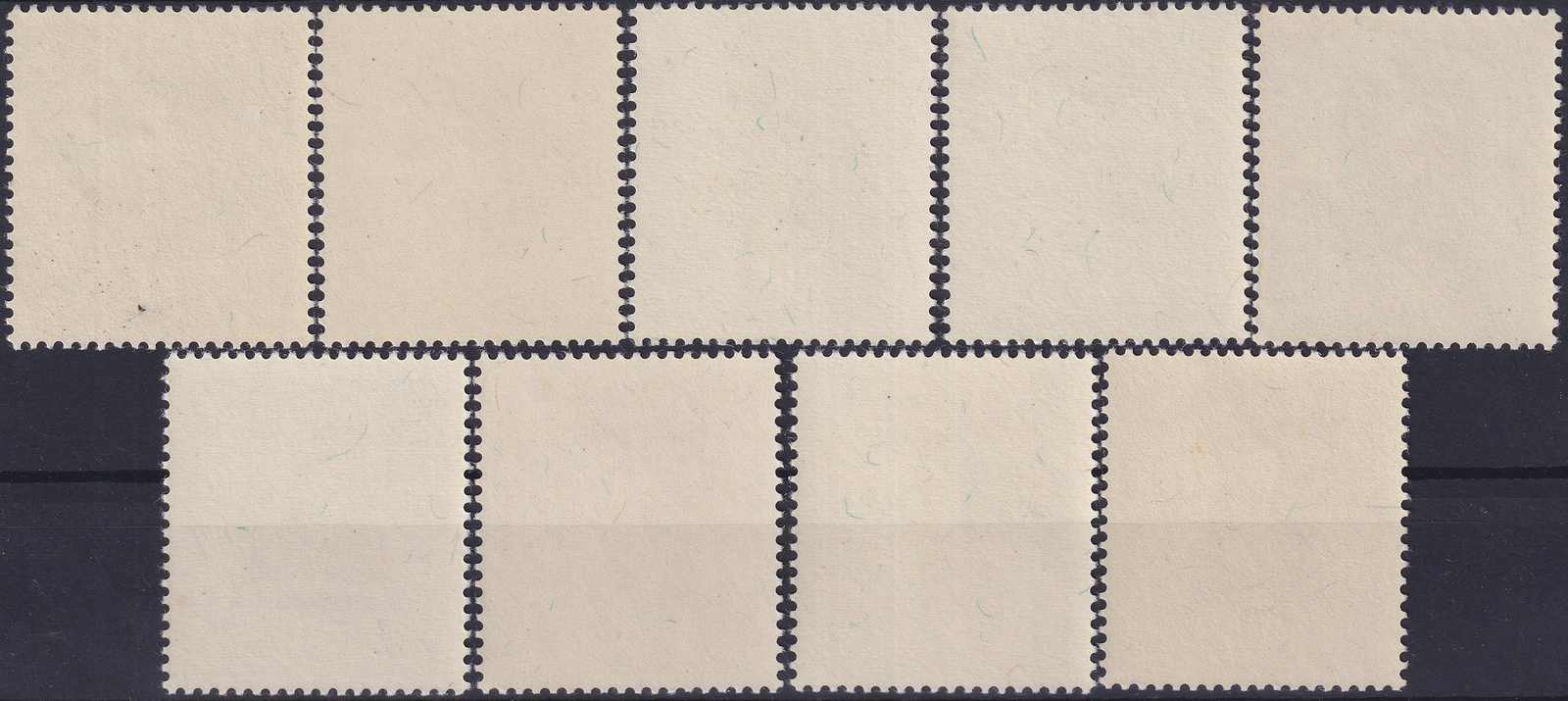 Image 1 for lot number 0006000093 for Luzernerraute Webshop 