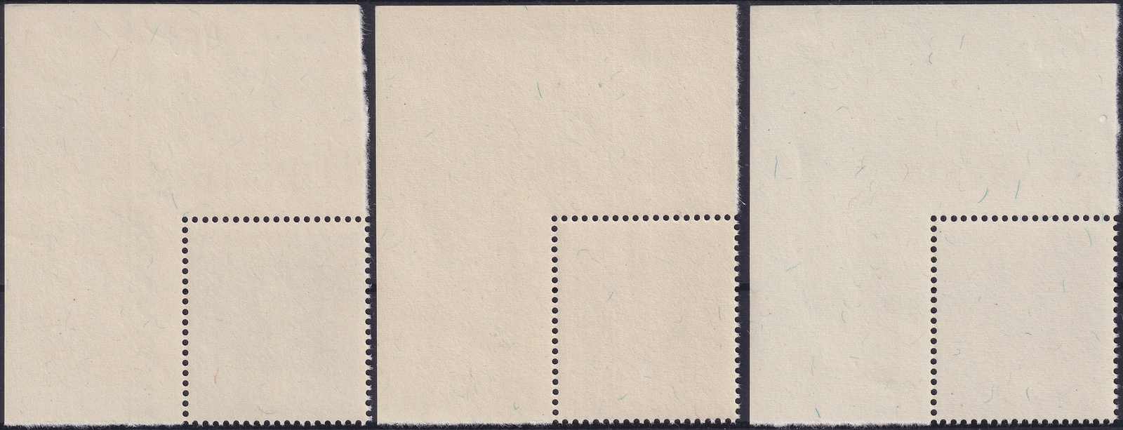 Image 2 for lot number 0006000097 for Luzernerraute Webshop 