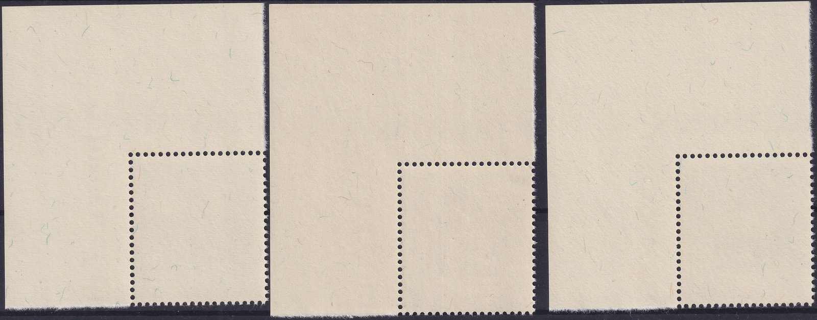 Image 4 for lot number 0006000097 for Luzernerraute Webshop 