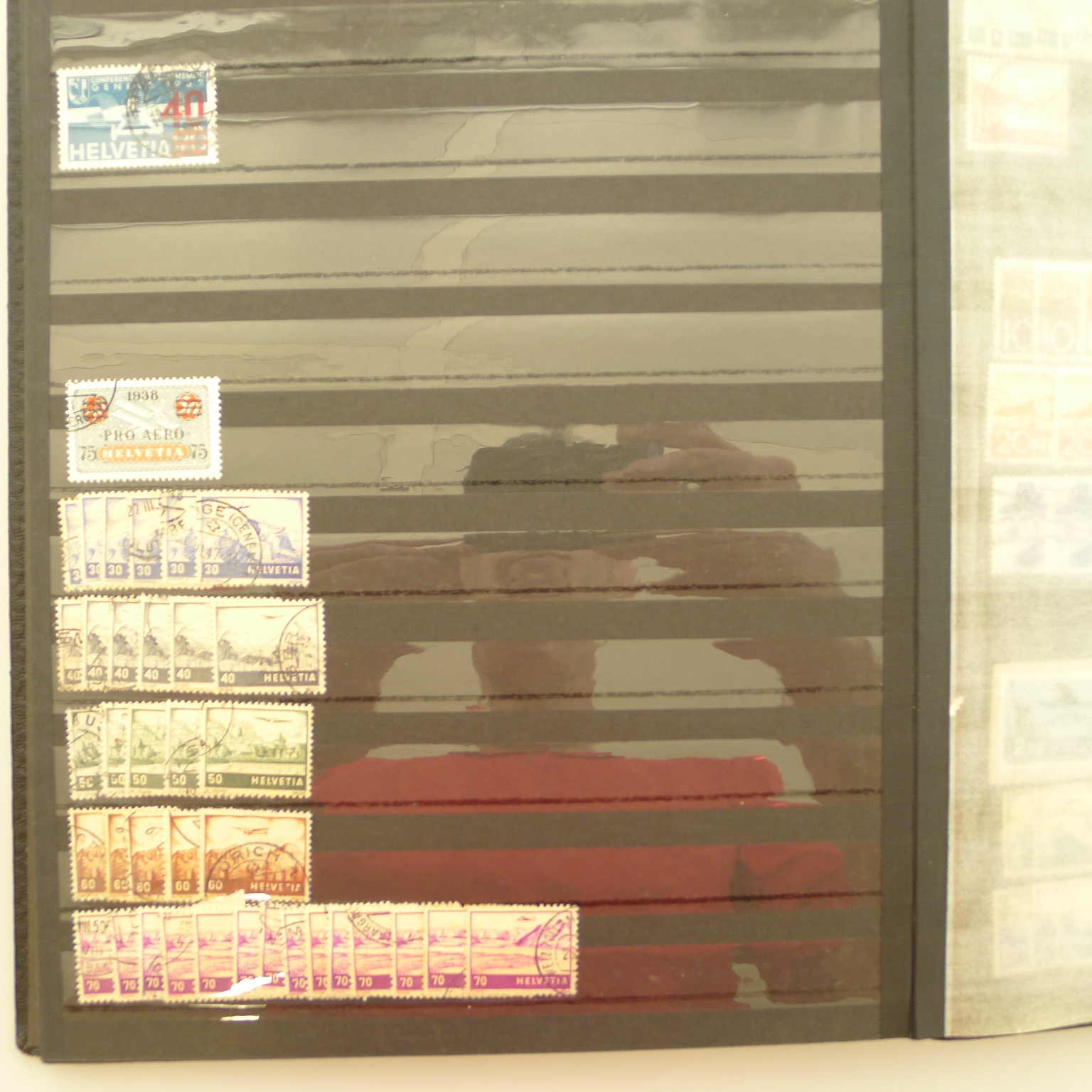 Image 27 for lot number 0006000173 for Luzernerraute Webshop 