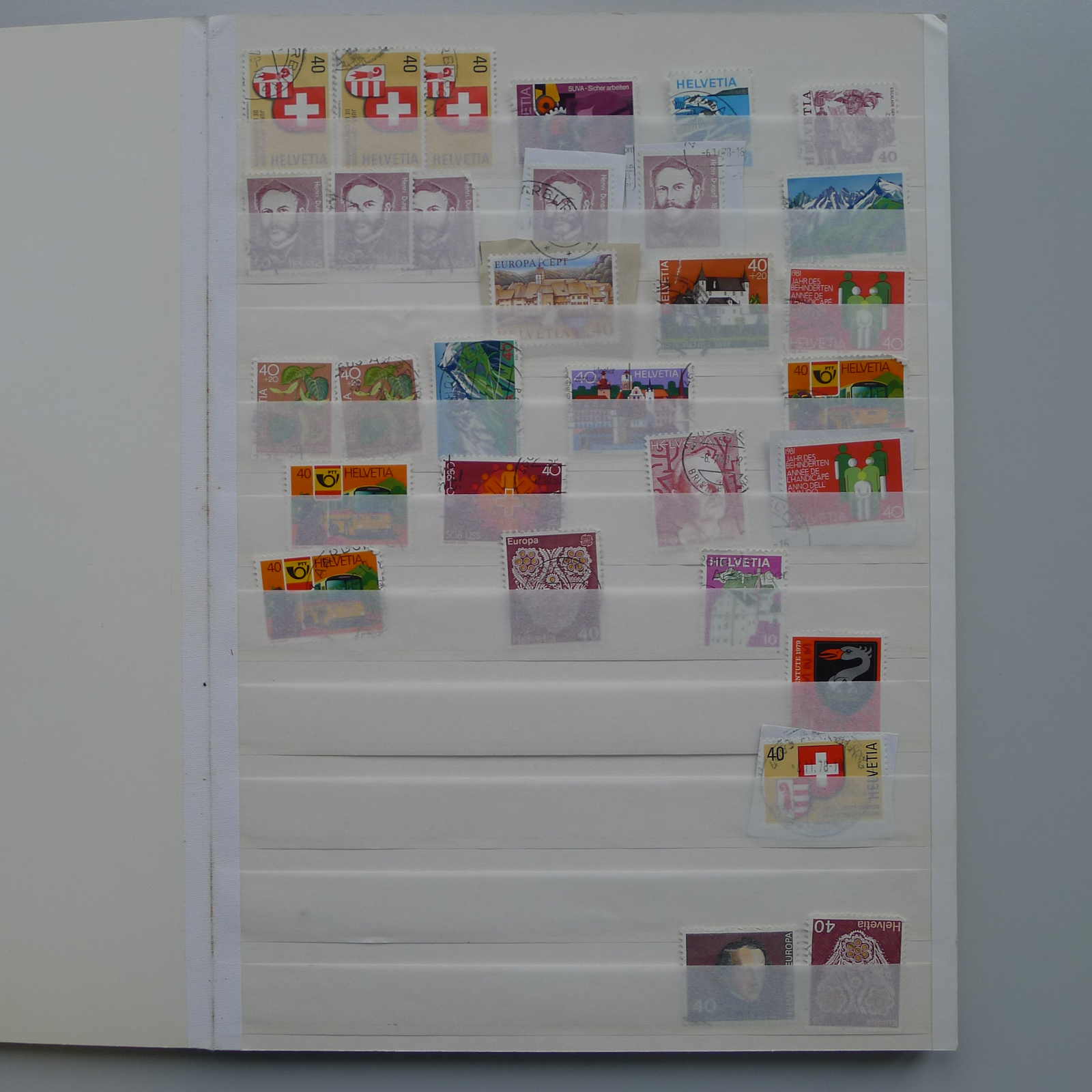 Image 4 for lot number 0006000177 for Luzernerraute Webshop 