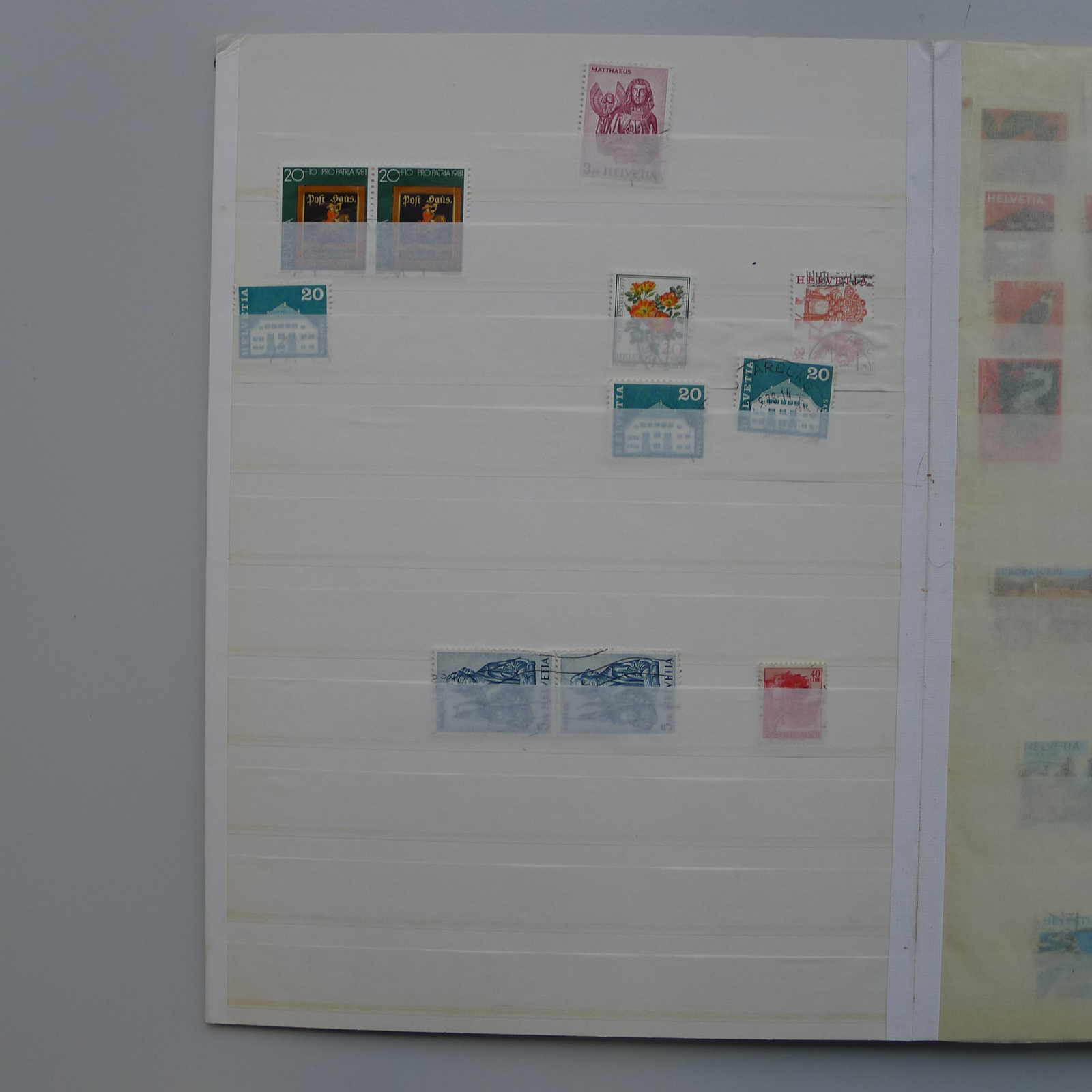 Image 5 for lot number 0006000177 for Luzernerraute Webshop 