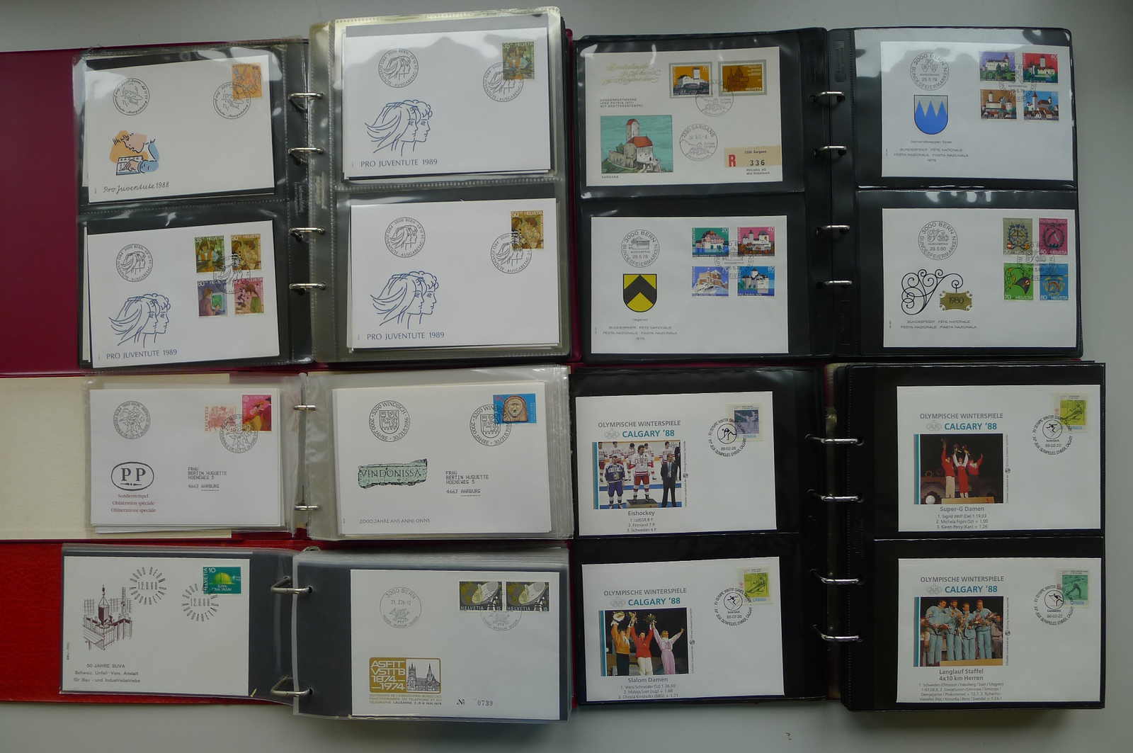 Image 19 for lot number 0006000177 for Luzernerraute Webshop 