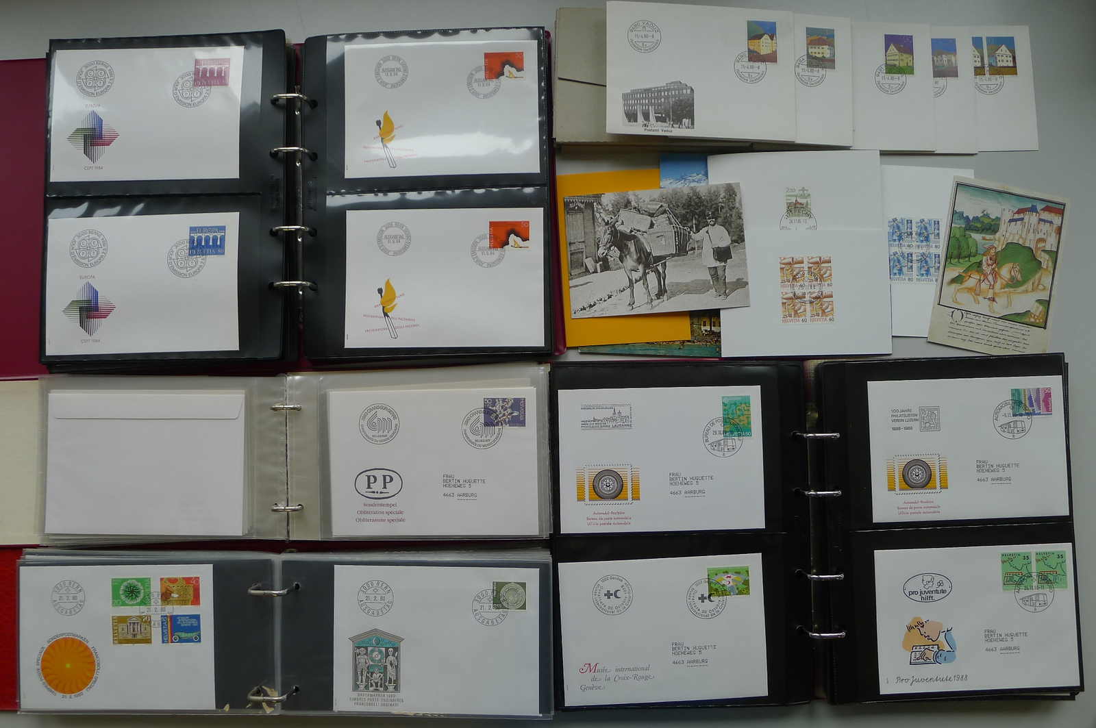 Image 31 for lot number 0006000177 for Luzernerraute Webshop 