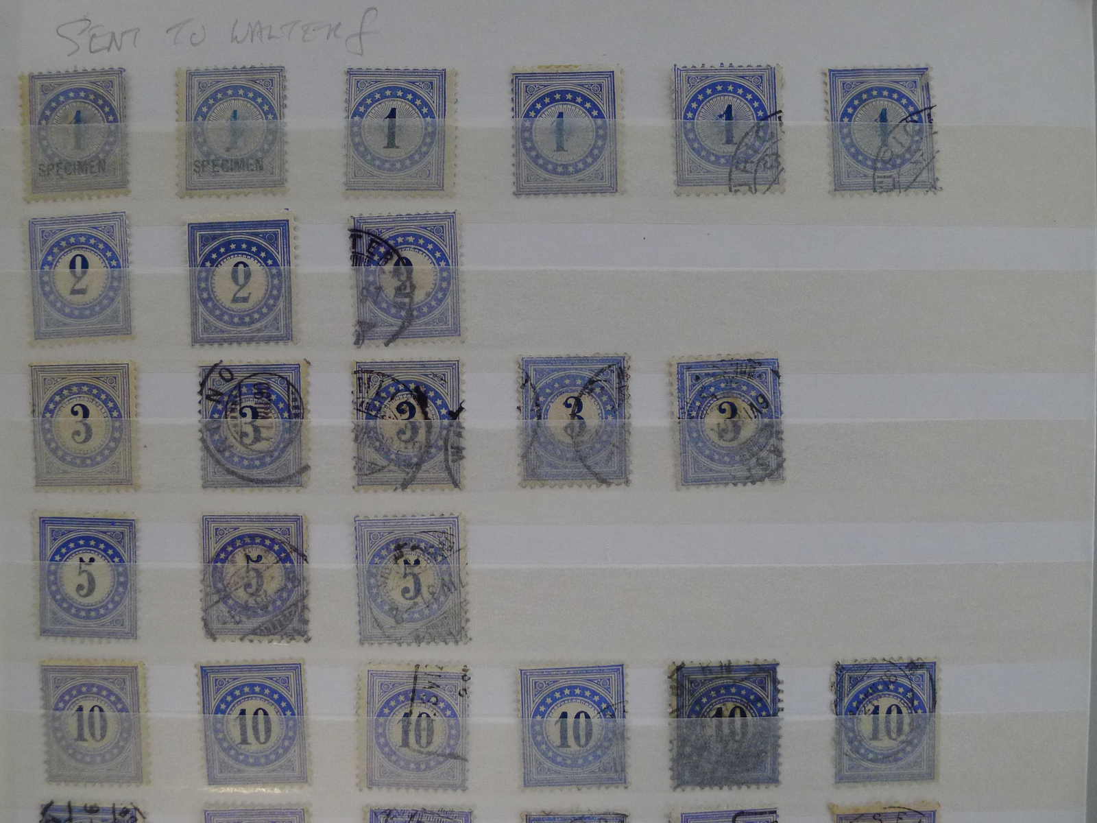 Image 2 for lot number 0006000217 for Luzernerraute Webshop 