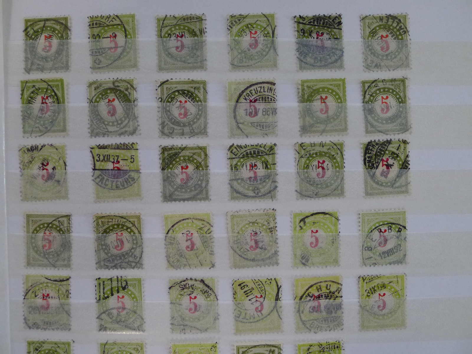 Image 6 for lot number 0006000217 for Luzernerraute Webshop 