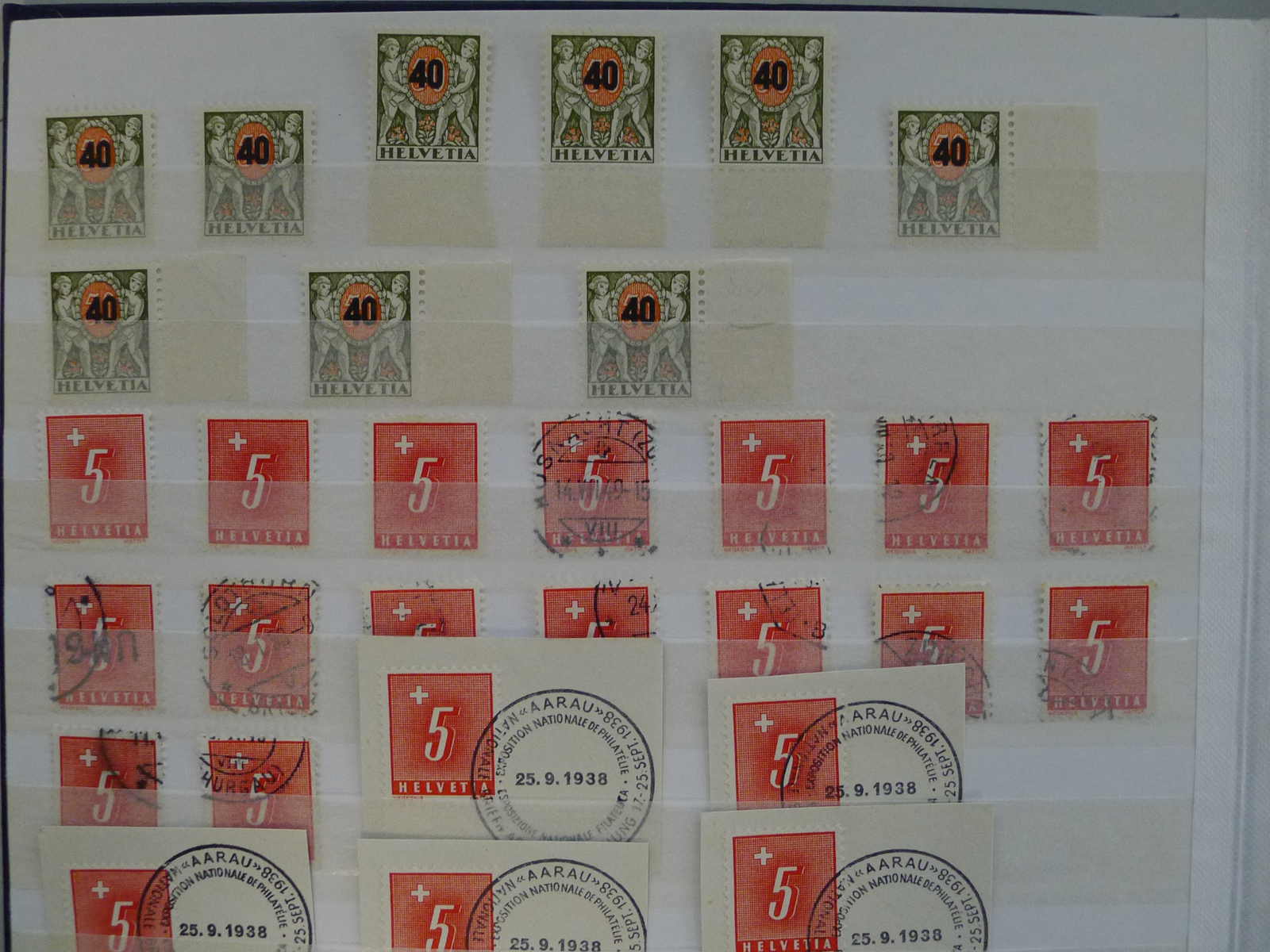 Image 28 for lot number 0006000217 for Luzernerraute Webshop 