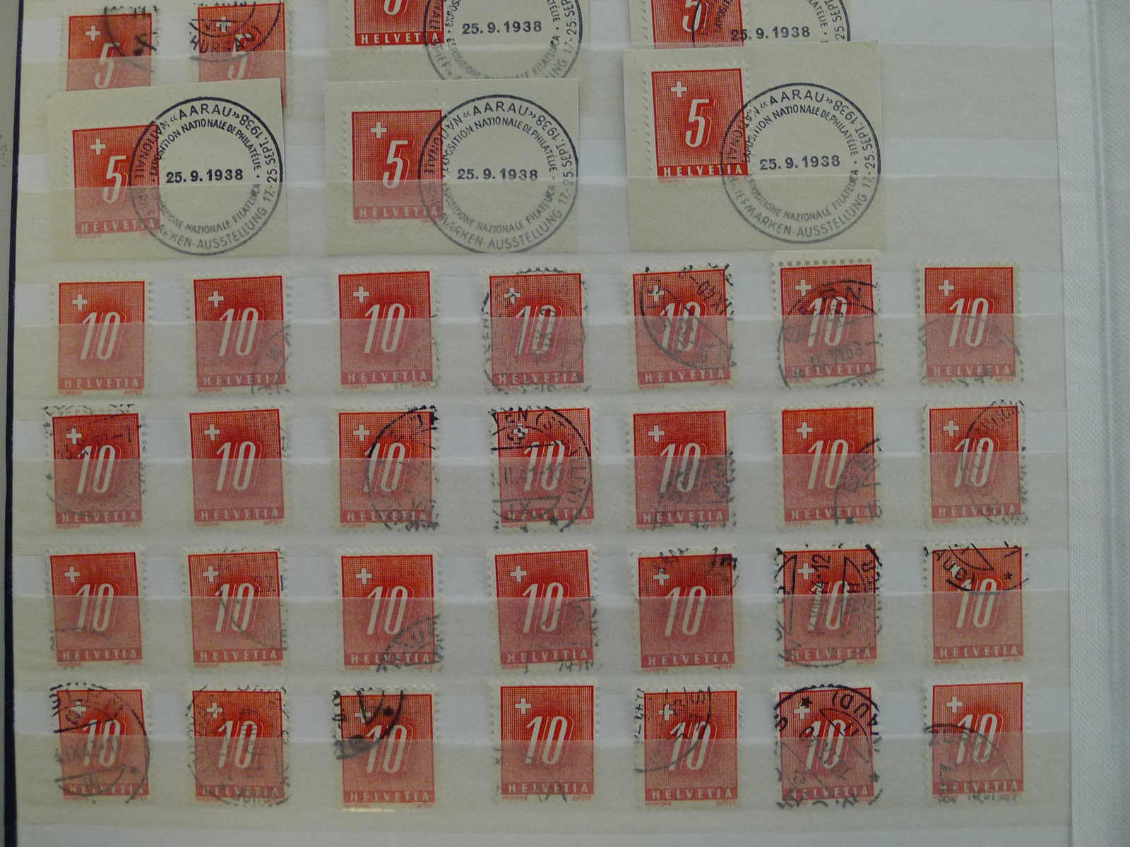 Image 29 for lot number 0006000217 for Luzernerraute Webshop 